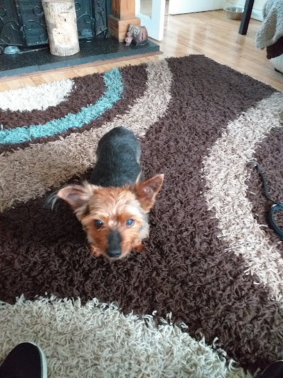 Peninsula Veterinary Clinics