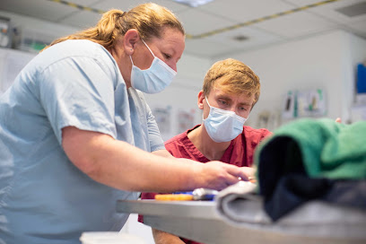 Pennard Vets Tonbridge