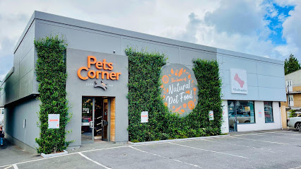 Pet Practice Veterinary Surgery