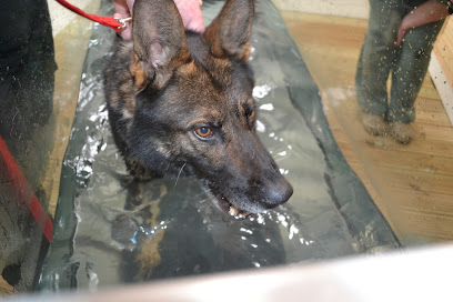 Pet Therapy Veterinary Rehabilitation & Sports Medicine Clinic
