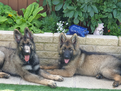 PETmedic Veterinary Services