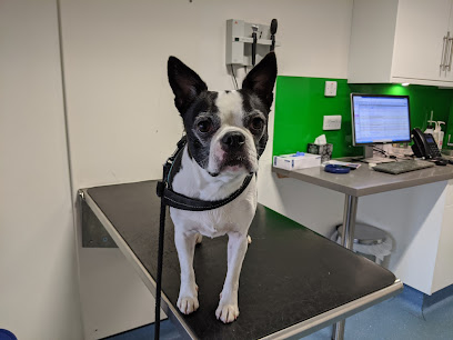 Pets'n'Vets in Glasgow - The Roundhouse Veterinary Hospital