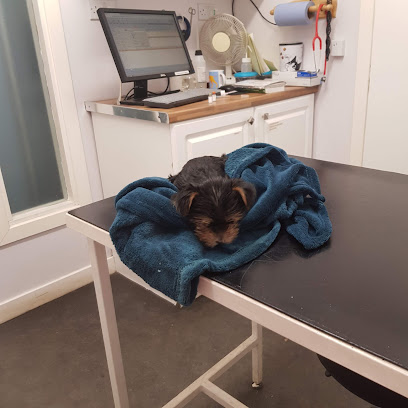 Pets'n'Vets in Queen's Park, Glasgow