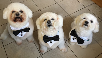 Pinewood Veterinary Practice