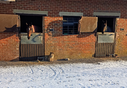 Plain Equine Veterinary Clinic