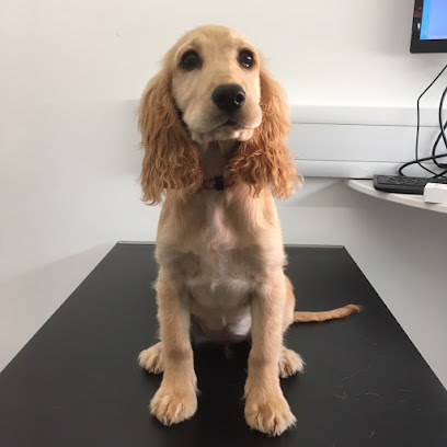 Priory Veterinary Practice - Stamford