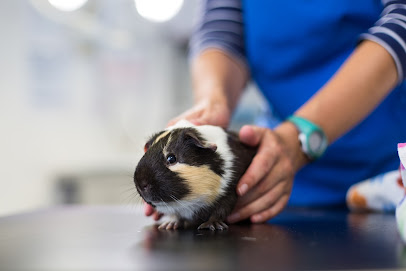 Priory Vets