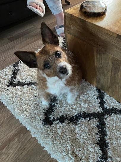 Purbrook Veterinary Practice Limited