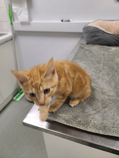 RAF Feltwell Veterinary Treatment Facility