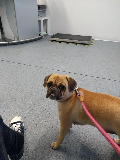 Rase Veterinary Centre - Dunscroft