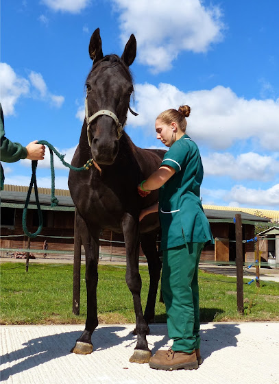 Rase Veterinary Centre - Market Rasen