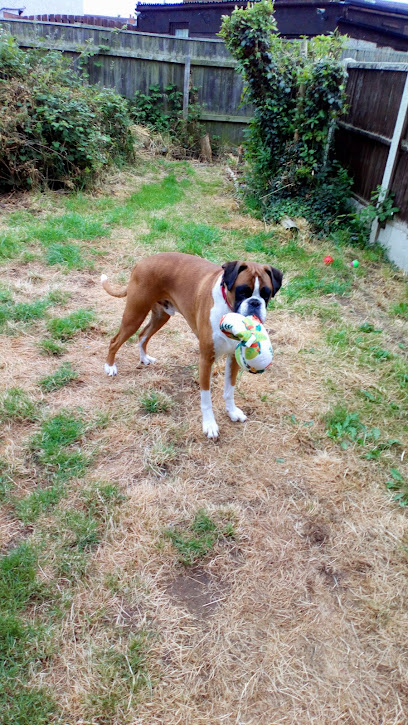 Rase Veterinary Centre - Scawthorpe