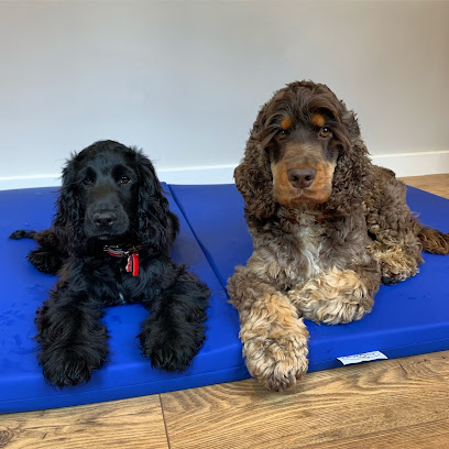 Ratcliffe Referrals Veterinary Physiotherapy and Hydrotherapy