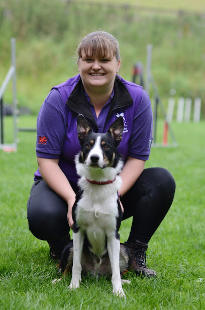 REC Veterinary Physiotherapy