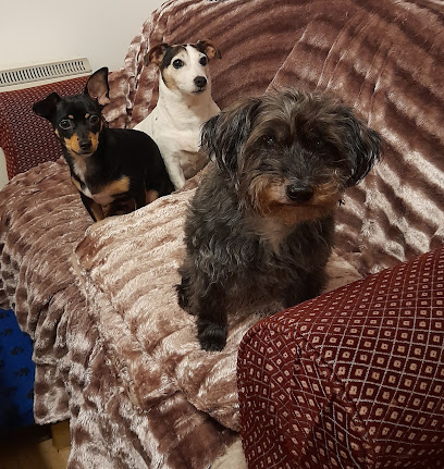 Redruth Veterinary Surgery