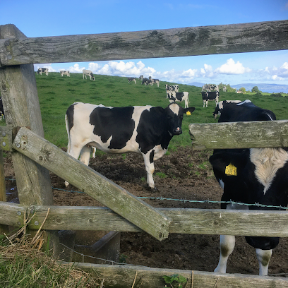 Riada Veterinary Clinic