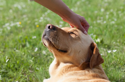 Riverside Vets Canvey