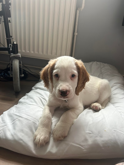 Riversmeet Vets in Tamworth