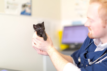 Robson & Prescott Veterinary Practice