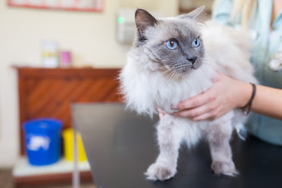 Rosehill Veterinary Clinic