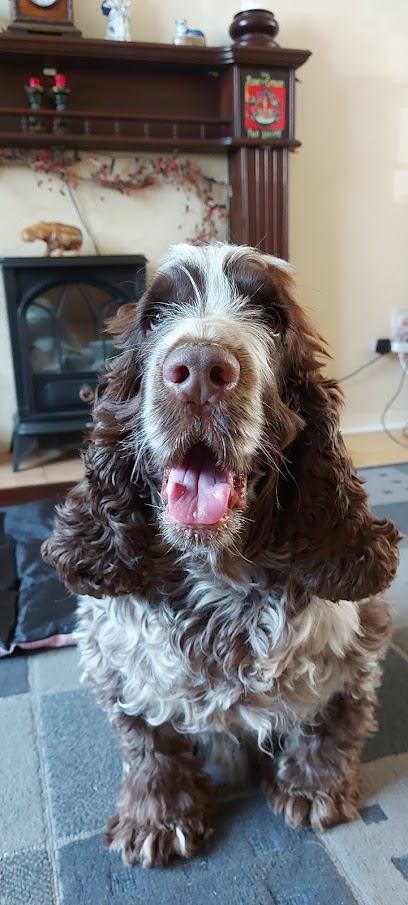 Royston Veterinary Centre