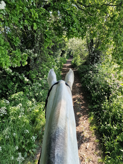 Rufford Veterinary Group Equine
