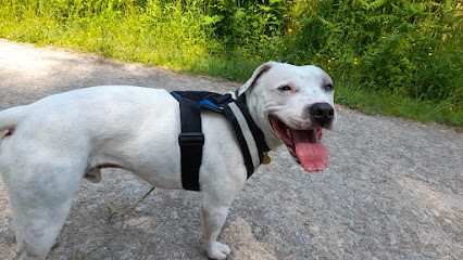 Ryedale Vets Helmsley