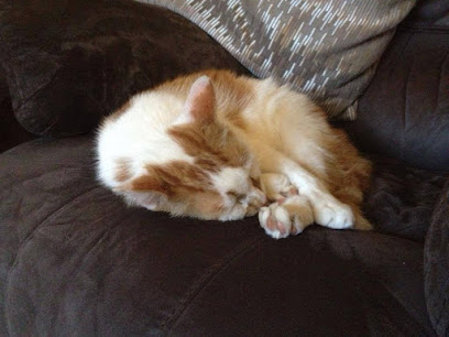 Sanderson Vet - Independent 24/7 Veterinary Care