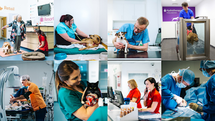 Scarsdale Vets - Pride Park