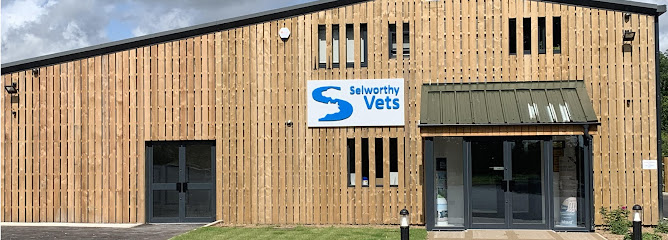Selworthy Vets