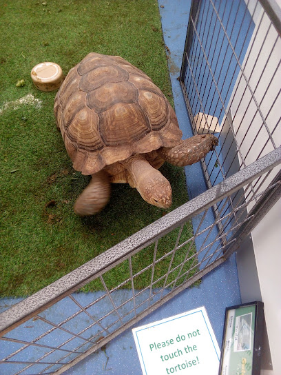 Shires Veterinary Practice