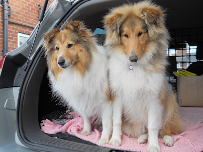 Shires Vets in Eaton Park, Stoke
