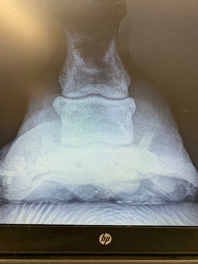 Siddle Veterinary Service