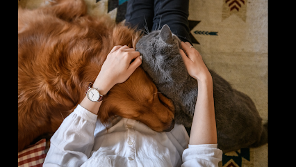 Silver Gate Vets - At Home Euthanasia & Cremation Service