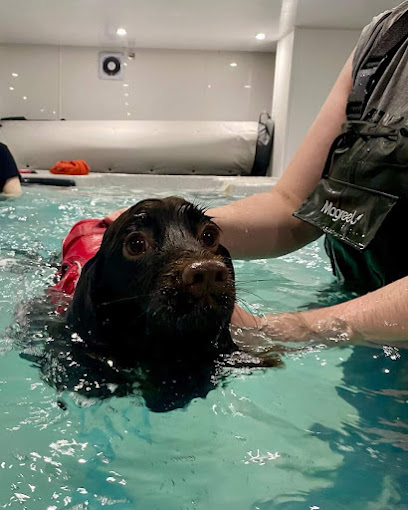 SKCanine Fitness and Rehabilitation