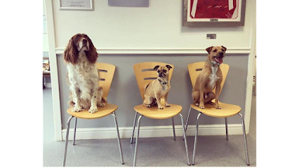 St. David Veterinary Centre, Pentwyn