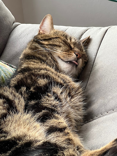 St Elmo Veterinary Clinic - Derry