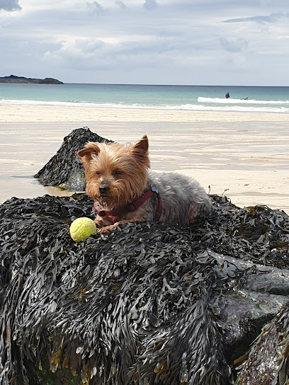 St Ives Veterinary Surgery