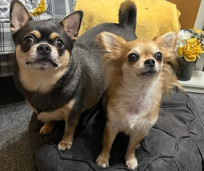 St James Veterinary Group Walter Road