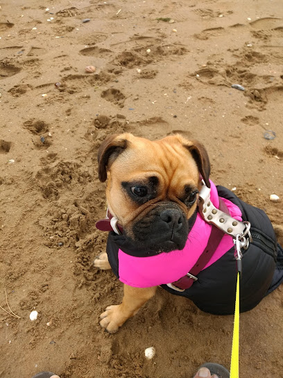 St James Veterinary Group Whitegates