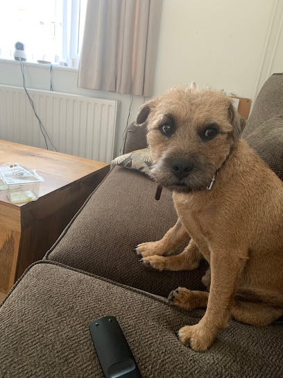 St Vincents Veterinary Surgery