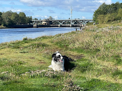 Stanhope Park Veterinary Hospital