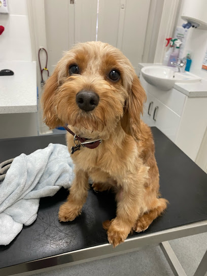 Stanley House Veterinary Group - Colne