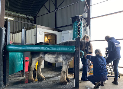 Station House Vets Small Animal & Equine Practice