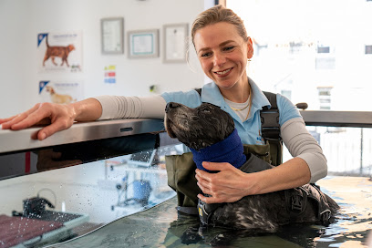 Stay on Track Vet Physio & Hydro Centre