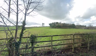 Steele R & Associates