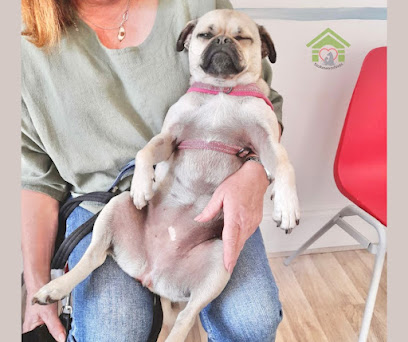 Stokewood Veterinary Centre