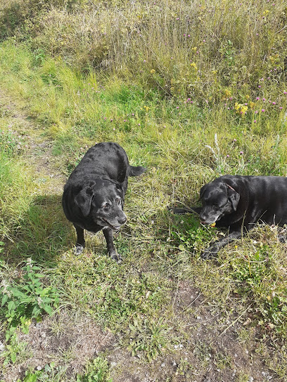 Strachan Veterinary Practice Heaton