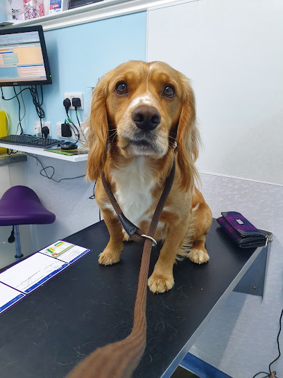 Strathbogie Veterinary Centre