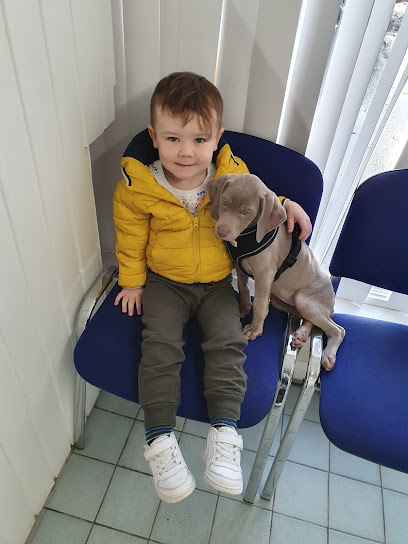 Strule Veterinary Services - Newtownstewart